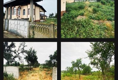 Casa de Vanzare in Celaru, sat Ghizdavesti - DOLJ cu Teren 5000m2 - 3