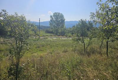 Teren de 1045 mp, în Central - 6