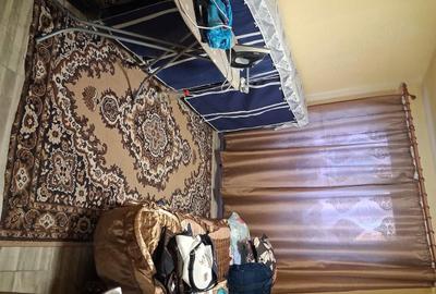 Casă cu Teren 2500 Mp în Otelec - 6