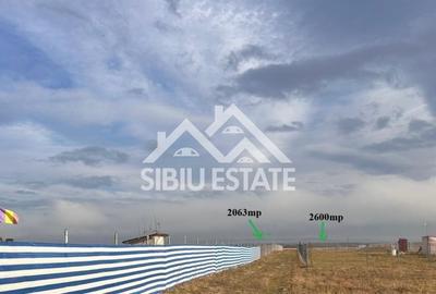 Teren agricol extravilan de 2000 mp, în Sud - 3