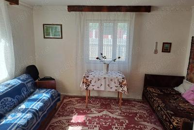 Casa de vazare in Bordestii de jos - 2