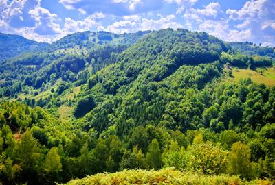 CASA TRADITIONALA, ANEXE si 46.980 mp teren partial INTRAVILAN BULZ - BIHOR - 23