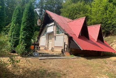 Vind casa de vacanta cu trei casute si pescarie - 2