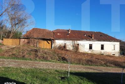 Casă cu 4 camere cu Teren 10000 Mp în Central - 3