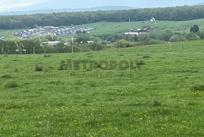 Teren intravilan 438 mp | Calea Cisnadiei - Str. Zorilor | Potential excelent - 4