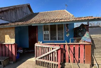 Casă cu Teren 11000 Mp în Cefa - 7