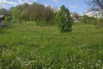 Teren de 3513 mp, în Vișinești - 2
