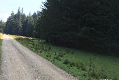 Teren de 3825 mp, în Vama Buzăului - 3