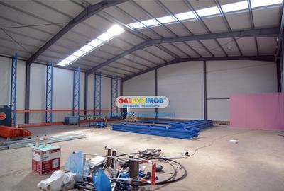 Hala Depozitare 565 mp Afumati - 7