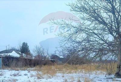 Spațiu comercial, în Letea Veche - 6