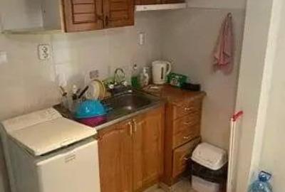 Apartament cu 1 camera in zona Lipovei - 2