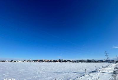 Spațiu comercial, în Viișoara