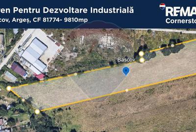 Teren Construcții intravilan de 9810 mp, în Bascov - 1