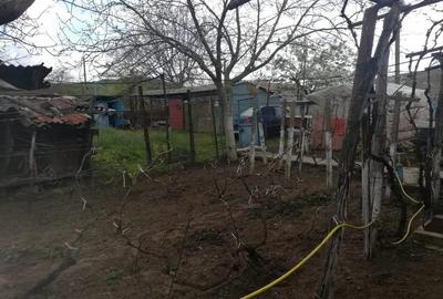 Casă cu 3 camere în Balabancea - 2