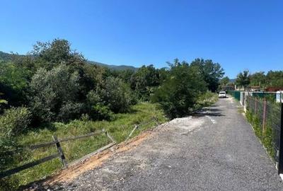 Teren de 1300 mp, în Sadu - 3