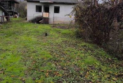 Casă în sat Ursoaia, com. Peșceana, jud. Vâlcea - 11