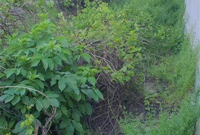 Casă cu 6 camere cu Teren 554 Mp în Chercea - 10