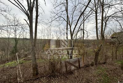 Teren 1942 mp, ideal casa de vacanta, alte activitati, Herneacova. - 4