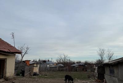 Casa de vanzare in comuna balta alba ,buzau - 8