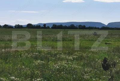 Casă cu 2 camere cu Teren 331 Mp în Turda - 4