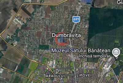 Casă cu 5 camere cu Canalizare în Dumbrăvița