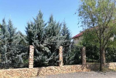 Teren de 531 mp, în Alexandriei - 2