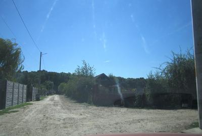 Domnesti Teghes-Padurarului - 7