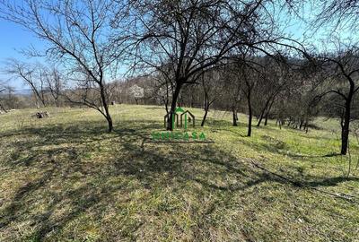 Teren de 8131 mp, în Băile Govora - 4