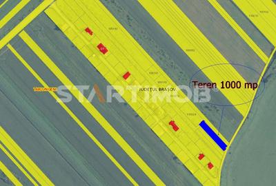 Teren Intravilan Tarlugeni - 1