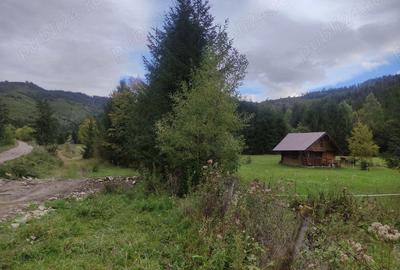 Teren de 9172 mp, în Pintic - 4