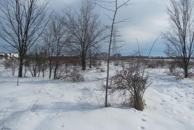 Teren Construcții intravilan de 5180 mp, în Clinceni - 12