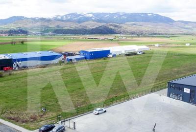 Oportunitate de Investitie sau Constructie Hala - Teren 3.900 mp | Talmaciu - 8
