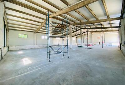 Spațiu industrial, de 540 mp, în Central - 12
