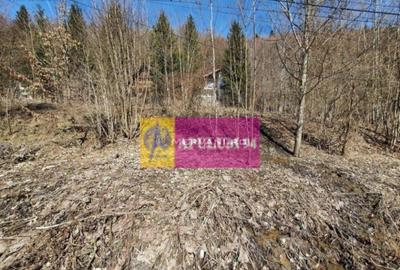 Teren Intravilan de Vanzare Sinaia - 5