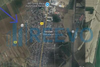 Teren de 10500 mp, în Nicolae Bălcescu - 3
