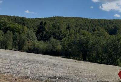 Spațiu comercial, în Sucevița - 6