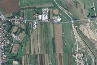 Teren de 4575 mp, în Filipeștii de Târg - 3