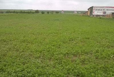 Teren de 7500 mp, în Central - 1