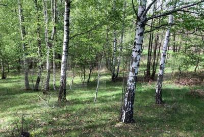 Teren, 9.746 mp, zona Cernadia - 3