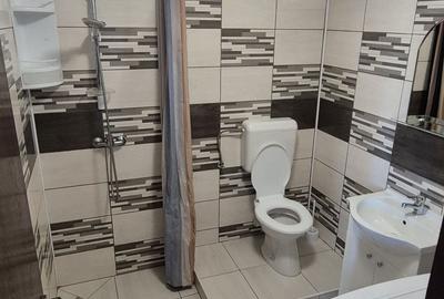 Apartament cu 2 camere semidecomandat în Manolache - 2
