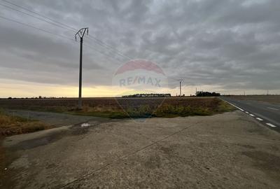 Teren agricol extravilan de 27882 mp, în Exterior Est - 1