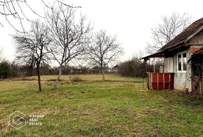 Teren Construcții intravilan de 2880 mp, în Șiria - 4