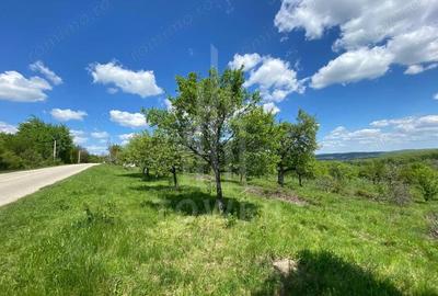 Teren de 1000 mp, în Sibiel - 3