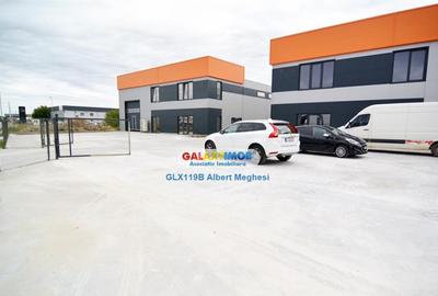 Hala 572 mp Chiajna - 1