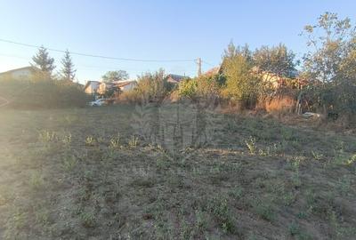 Teren Construcții intravilan de 3017 mp, în Plopu - 4
