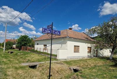 Casă cu Teren 2973 Mp în Șiria - 3