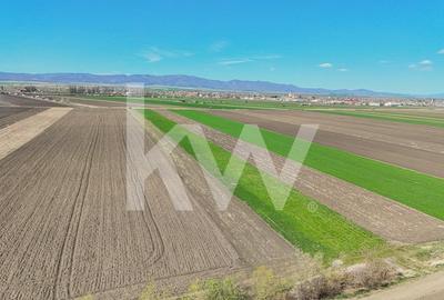 Vanzare teren extravilan agricol Halchiu 15000mp - 5