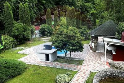 Cabana / casa de vanzare in Baisoara, 285 MP ! Piscina! C... - 17