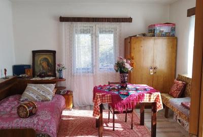 Somcuta Mare, casa D+P+1, 22 ari teren - 21