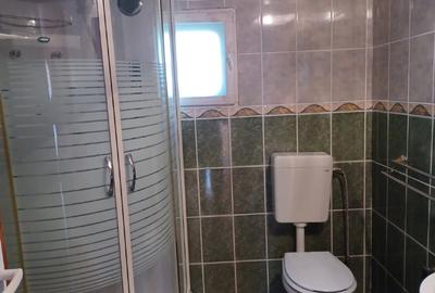 Casa garnde , Carpinis Timisoara - 4